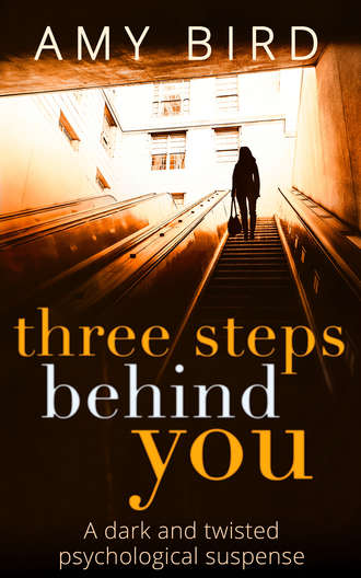 Amy  Bird. Three Steps Behind You