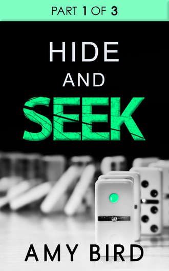 Amy  Bird. Hide And Seek