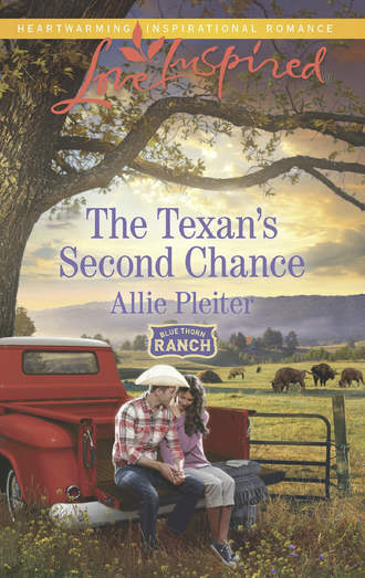 Allie  Pleiter. The Texan's Second Chance