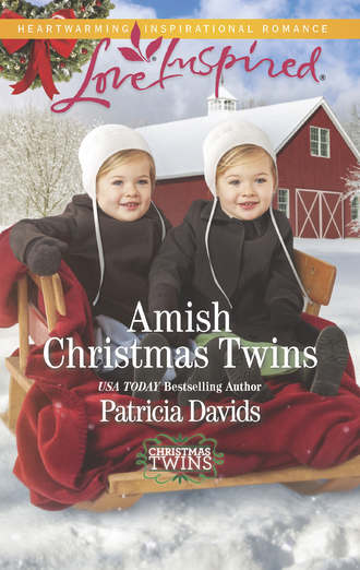 Patricia  Davids. Amish Christmas Twins