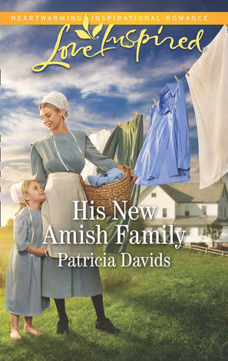 Patricia  Davids. His New Amish Family