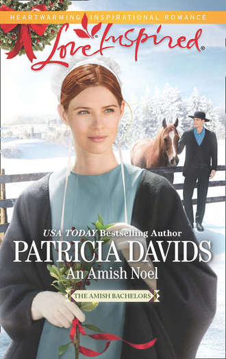 Patricia  Davids. An Amish Noel
