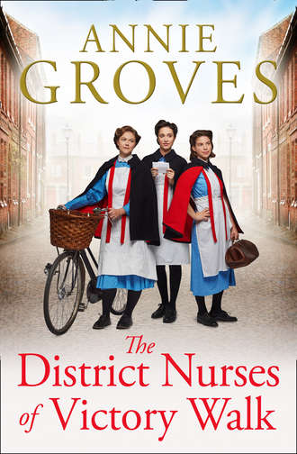 Annie Groves. The District Nurses of Victory Walk