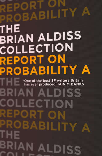 Brian  Aldiss. Report on Probability A
