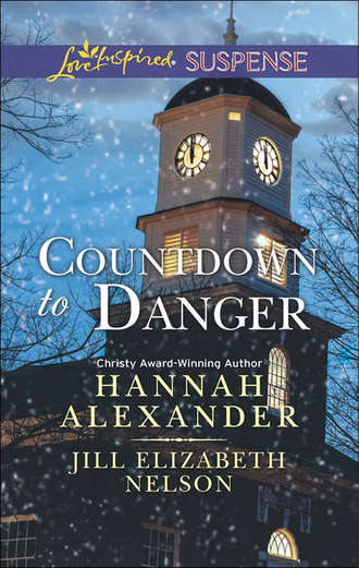Hannah  Alexander. Countdown to Danger: Alive After New Year / New Year's Target