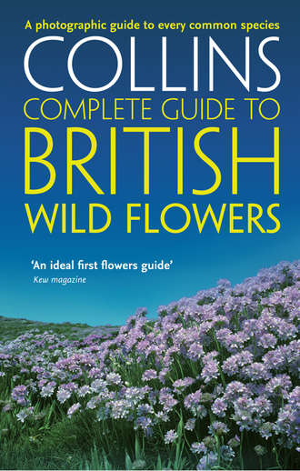 Paul  Sterry. British Wild Flowers: A photographic guide to every common species