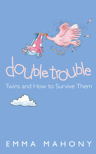 Emma Mahony. Double Trouble: Twins and How to Survive Them