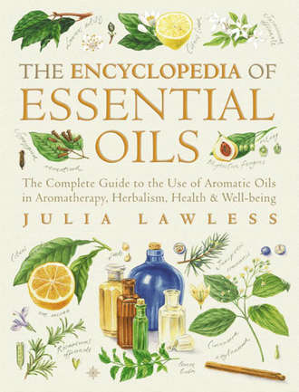 Julia  Lawless. Encyclopedia of Essential Oils: The complete guide to the use of aromatic oils in aromatherapy, herbalism, health and well-being.