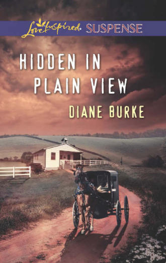Diane  Burke. Hidden in Plain View