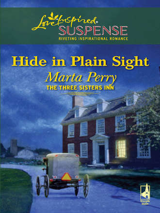 Marta  Perry. Hide in Plain Sight