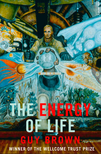 Guy  Brown. The Energy of Life: