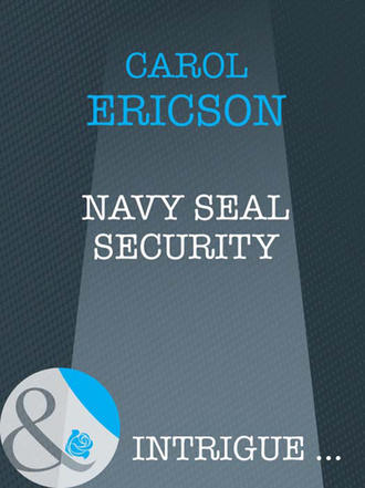 Carol  Ericson. Navy SEAL Security