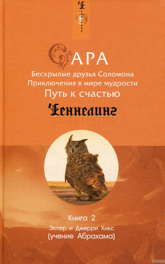 Эстер и Джерри Хикс. Сара. Книга 2. Бескрылые друзья Соломона. Приключения в мире мудрости. Путь к счастью