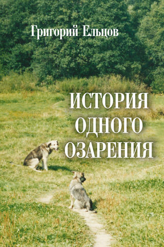 История одного озарения. 