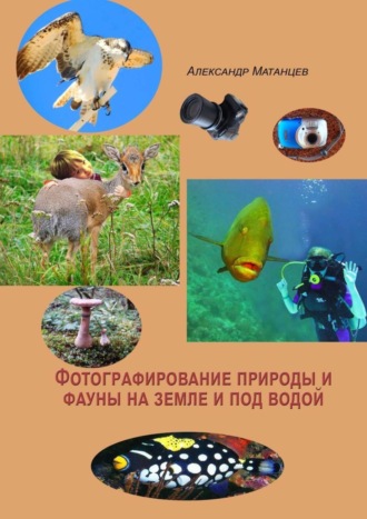 Фотографирование природы и фауны на земле и под водой. 