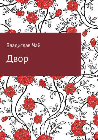 Двор. Владислав Андреевич Чай
