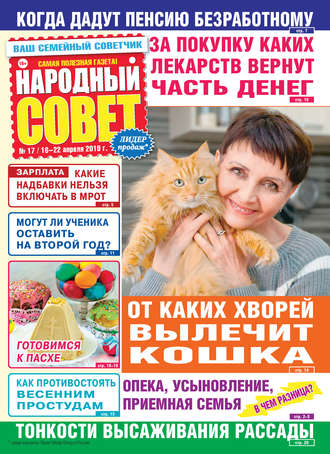 Народный совет №17/2019. Группа авторов