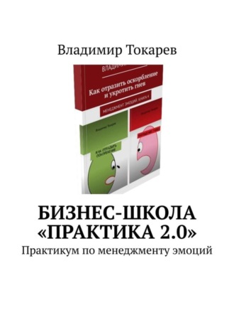 Владимир Токарев. Бизнес-школа «Практика 2.0». Практикум по менеджменту эмоций