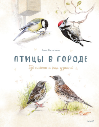Анна Васильева. Птицы в городе. Где найти и как узнать