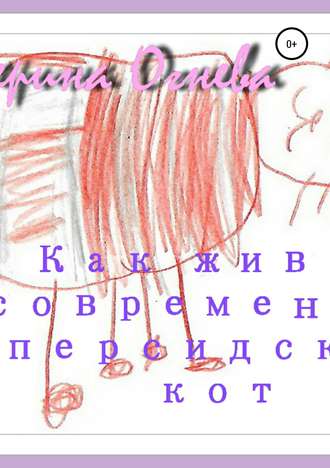 Как живет современный персидский кот. 