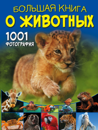 Д. И. Ермакович. Большая книга о животных. 1001 фотография