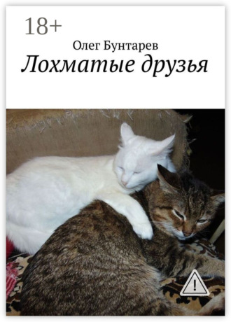 Лохматые друзья. Олег Бунтарев