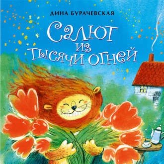 Салют из тысячи огней. 