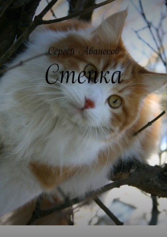 Степка. 