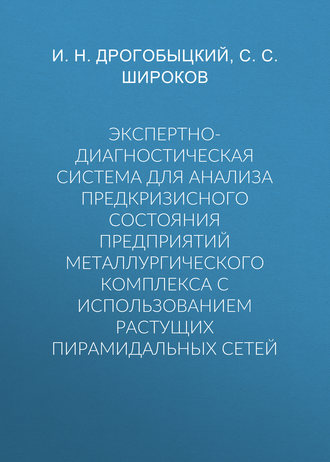 Экспертно-диагностическая система для анализа предкризисного состояния предприятий металлургического комплекса с использованием растущих пирамидальных сетей. И. Н. Дрогобыцкий