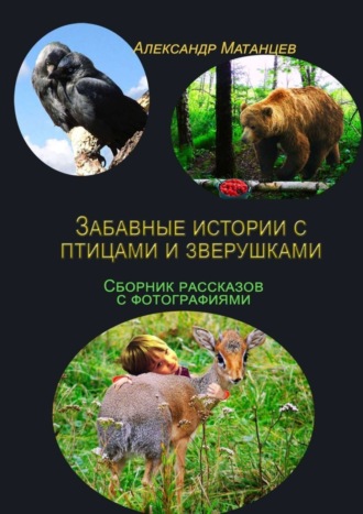 Забавные истории с птицами и зверушками. Сборник рассказов с фотографиями. 