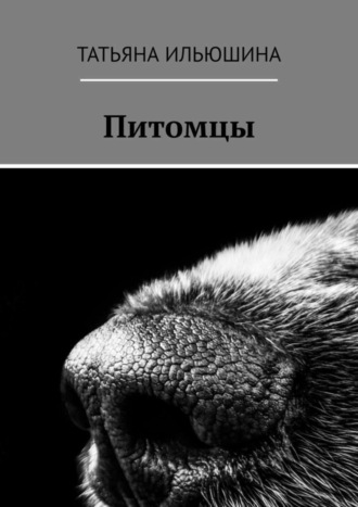 Питомцы. 