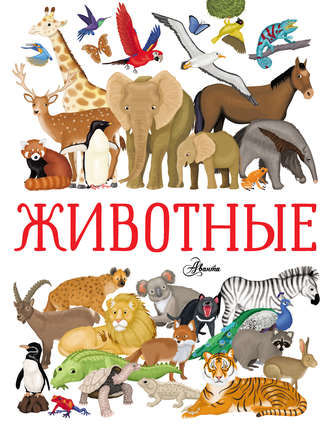 Животные. Илария Барсотти