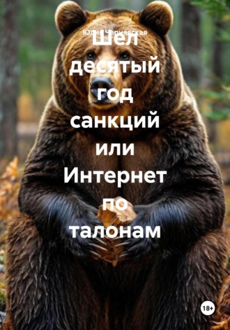 Шел десятый год санкций или Интернет по талонам. Юлия Вячеславовна Чернявская