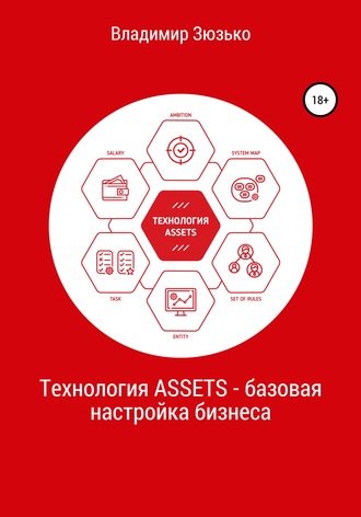 Технология ASSETS – базовая настройка бизнеса. Владимир Владимирович Зюзько