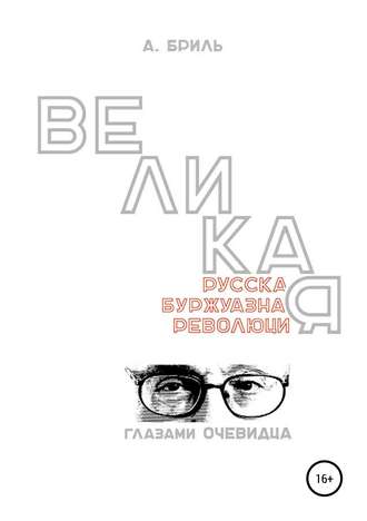 Великая русская буржуазная революция глазами очевидца. Андрей Борисович Бриль
