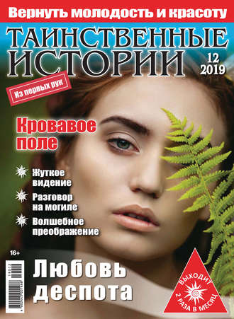 Таинственные истории №12/2019. Группа авторов
