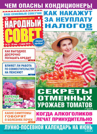 Народный совет №23/2019. Группа авторов