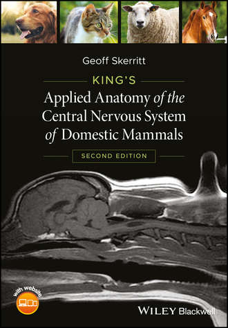 Geoff  Skerritt. King's Applied Anatomy of the Central Nervous System of Domestic Mammals