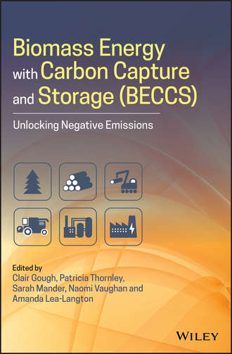 Sarah  Mander. Biomass Energy with Carbon Capture and Storage (BECCS)