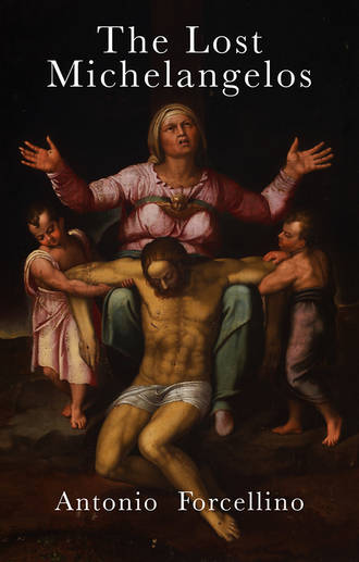 The Lost Michelangelos. Antonio  Forcellino