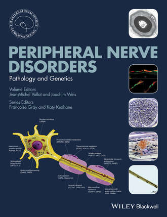 Jean-Michel  Vallat. Peripheral Nerve Disorders