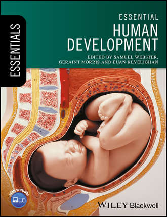 Samuel  Webster. Essential Human Development