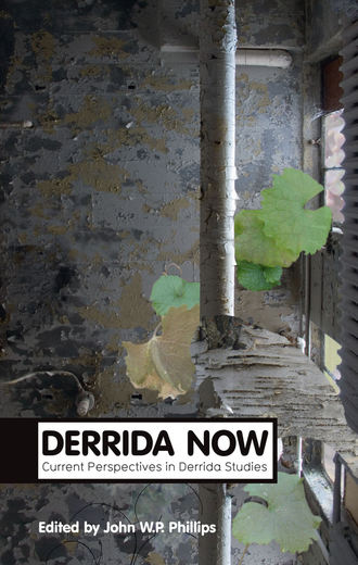 Группа авторов. Derrida Now