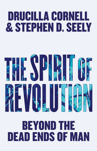Drucilla  Cornell. The Spirit of Revolution