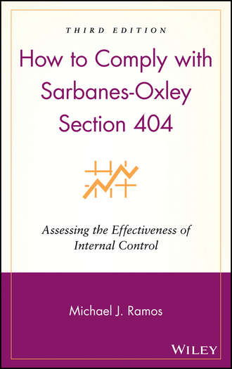 Группа авторов. How to Comply with Sarbanes-Oxley Section 404