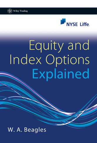 Группа авторов. Equity and Index Options Explained