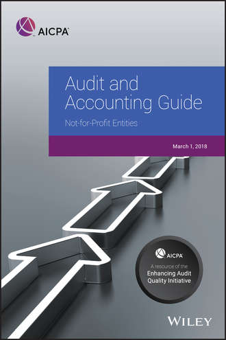 Группа авторов. Auditing and Accounting Guide
