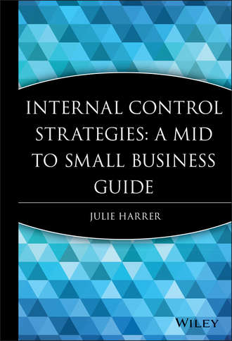 Группа авторов. Internal Control Strategies