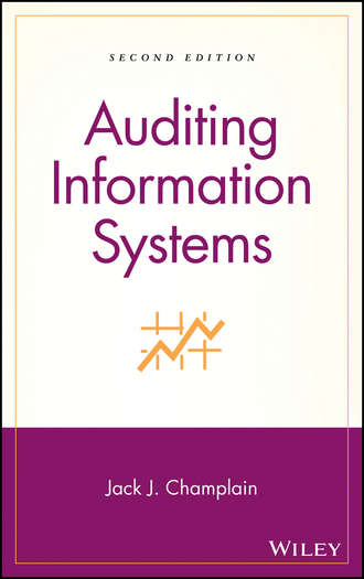 Группа авторов. Auditing Information Systems