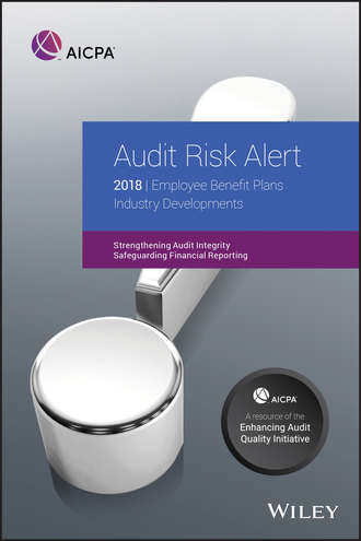 Группа авторов. Audit Risk Alert